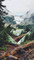 Disewakan Rumah Dekat Warteg di Alue Bakong - Thumbnail 3