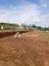 Dijual Tanah Residensial Salapan di Jifak - Thumbnail 4
