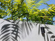 Dijual Apartemen Asoooyyy di Malalak Timur - Thumbnail 2