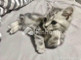 Dijual Apartemen 2BR 90m² di Jdhdhdhddhe - Thumbnail 2