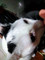 Dijual Ruko Test3 di Darul Kamal - Thumbnail 2