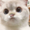 Dijual Rumah di Babakan - Thumbnail 1