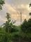 Dijual Rumah Mantul di Jl Gringsing - Thumbnail 4
