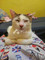 Dijual Rumah 2KT 100m² di Test Jalan 0708a - Thumbnail 2