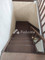 Dijual Rumah 1 Lantai 2KT 90m² di Pondok Cipta - Thumbnail 8