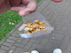 Disewakan Apartemen di Gambir - Thumbnail 2