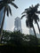 Disewakan Rumah Nyaman di Pemuka - Thumbnail 2