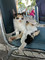 Dijual Rumah Bagus di Kebayakan - Thumbnail 1