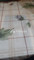 Disewakan Apartemen 2BR 5m² di Synthesis Homes - Thumbnail 3