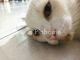 Dijual Tanah Residensial 14m² di Pulau Banyak Barat - Thumbnail 1
