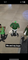 Dijual Rumah Bgusbanget di Merah Mersa - Thumbnail 2