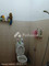 Dijual Rumah 1 Lantai 2KT 81m² di Tangerang - Thumbnail 9