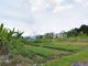 Dijual Tanah Komersial Lokasi Strategis di Patangpuluhan - Thumbnail 1