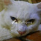 Dijual Rumah di Pasar Baru - Thumbnail 7