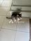 Dijual Tanah Residensial Jhujjjj di Lawe Buluh Didi - Thumbnail 4