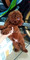 Dijual Rumah di - Thumbnail 4