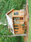 Dijual Rumah Kecil dan Sempit di Banaran Tengah - Thumbnail 2