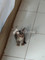 Dijual Apartemen 500m² di Kunduran - Thumbnail 1
