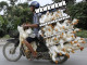 Dijual Rumah Test Uwa Satu Listing di Xua - Thumbnail 3