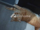 Dijual Apartemen 3BR 28000m² di Nurussalam - Thumbnail 1
