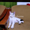 Dijual Rumah Murah Yuk di Rumah - Thumbnail 3