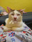 Dijual Rumah New Home di Gampong Cot - Thumbnail 1