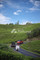 Dijual Rumah 3KT 68m² di Jawa Raya - Thumbnail 3