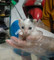 Dijual Ruko Mahal di Julok - Thumbnail 1