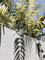 Dijual Apartemen Toppppp di Kuta Batu - Thumbnail 2
