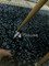 Dijual Rumah Shhshsshs di Baloi Permai - Thumbnail 3