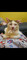 Dijual Rumah di Bojong Nangka - Thumbnail 1