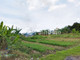 Disewakan Rumah Asri Welas Asih di Rejowinangun - Thumbnail 1