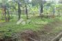 Dijual Tanah Residensial Siap Bangun di Demen - Thumbnail 3
