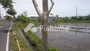 Dijual Rumah Mahal di Sembilan - Thumbnail 1