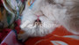 Dijual Apartemen 121m² di Daan Mogot City - Thumbnail 4