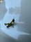 Dijual Rumah Sbdbsbd di Lamma - Thumbnail 1