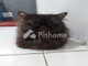 Dijual Apartemen 1m² di G - Thumbnail 3
