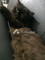 Dijual Rumah Approve 6 di Lhoksukon - Thumbnail 1