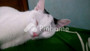 Dijual Apartemen Test2 di Kluet Tengah - Thumbnail 2