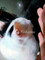 Dijual Ruko Test3 di Darul Kamal - Thumbnail 3
