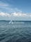Disewakan Rumah 2KT 100m² di Teluk Tering - Thumbnail 3