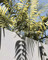 Dijual Apartemen Toppppp di Kuta Batu - Thumbnail 1