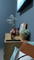 apartemen 78m² di Serenia Hills - Thumbnail 1