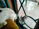 Dijual Ruko Rukoan di Lapang - Thumbnail 3