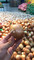 Dijual Rumah 1 Lantai 1KT 500m² di Wumialo - Thumbnail 1