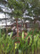 Dijual Rumah Jual Rumah Murah di Cipondoh - Thumbnail 3