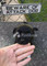 Dijual Rumah Ganteng di Rumah Bung - Thumbnail 1