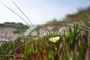 Dijual Ruko Lengkap di Kebon Jeruk - Thumbnail 2
