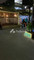 Dijual Rumah New Home di Kelapa Gading Barat - Thumbnail 3