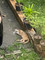 Dijual Rumah Ssjsjsj di Keumuneng Lhok - Thumbnail 1